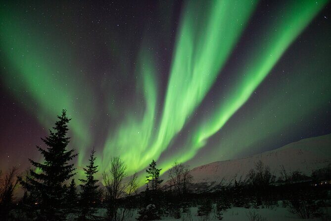 Lapland Northern Lights Tour from Tromso - The Full Story: What to Expect on the Lapland Northern Lights Tour from Tromsø