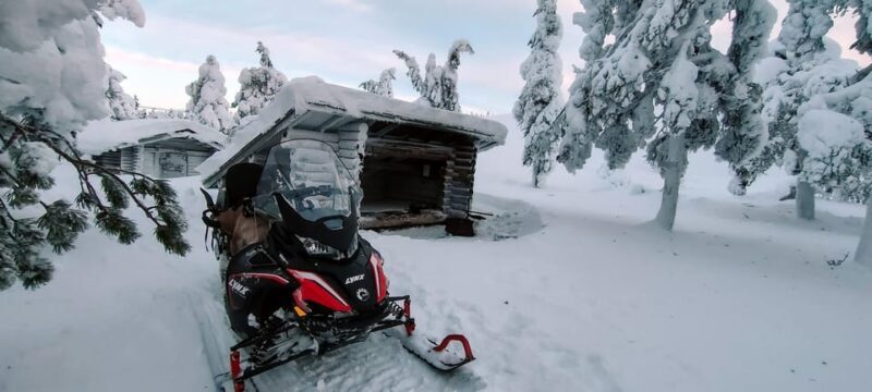 Lapland: Private Snowmobile Safari with arctic Local Guide - Authenticity and Value