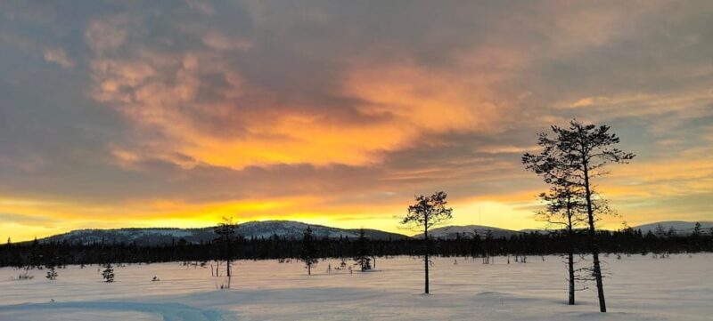 Lapland: Private Snowmobile Safari with arctic Local Guide - Frequently Asked Questions