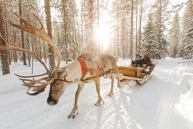 Lapland Reindeer and Husky Safari from Rovaniemi - The Lapland Reindeer and Husky Safari from Rovaniemi: A Genuine Arctic Adventure