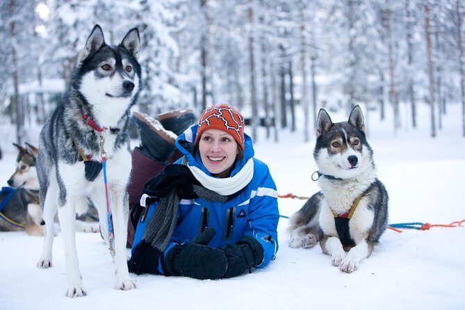 Lapland Reindeer and Husky Safari from Rovaniemi - Key Points