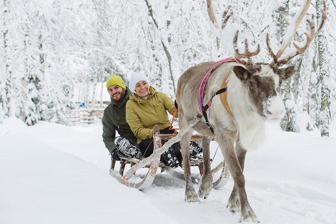 Lapland Reindeer Safari from Rovaniemi - Key Points