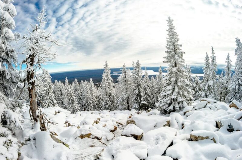 Lapland: The Frozen Waterfalls of Korouoma Tour - Who Should Consider This Tour?