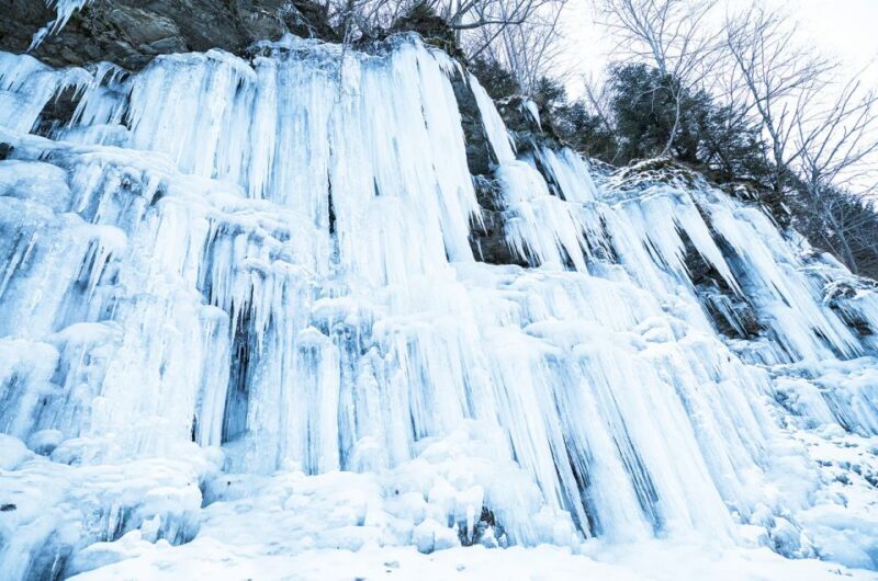 Lapland: The Frozen Waterfalls of Korouoma Tour - FAQ