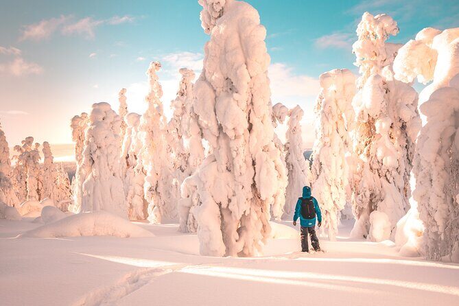 Lapland Winter Experience - Introduction: A Genuine Arctic Adventure in Rovaniemi