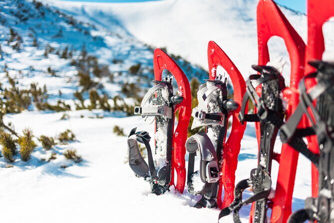 Lapland Winter Experience - Key Points