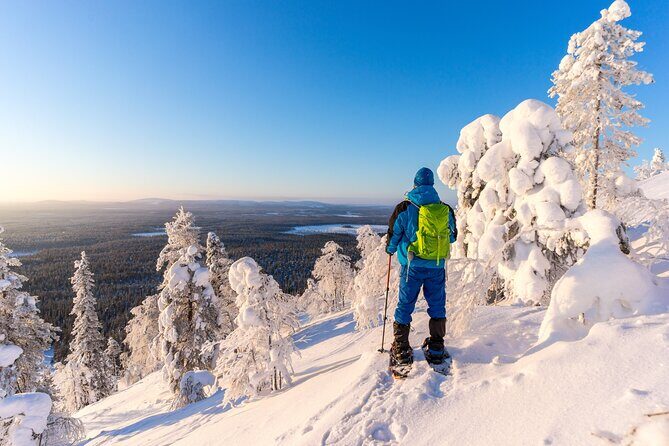 Lapland Winter Experience - Cozy Campfire and Traditional Meal