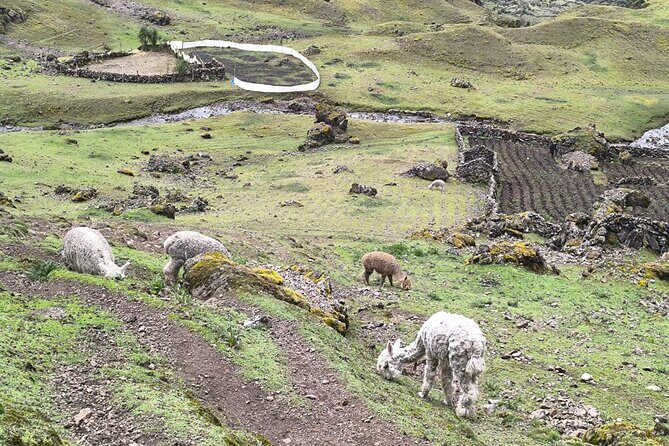 Lares Trek To Machupicchu With Thermal Baths 4Days - Final Thoughts