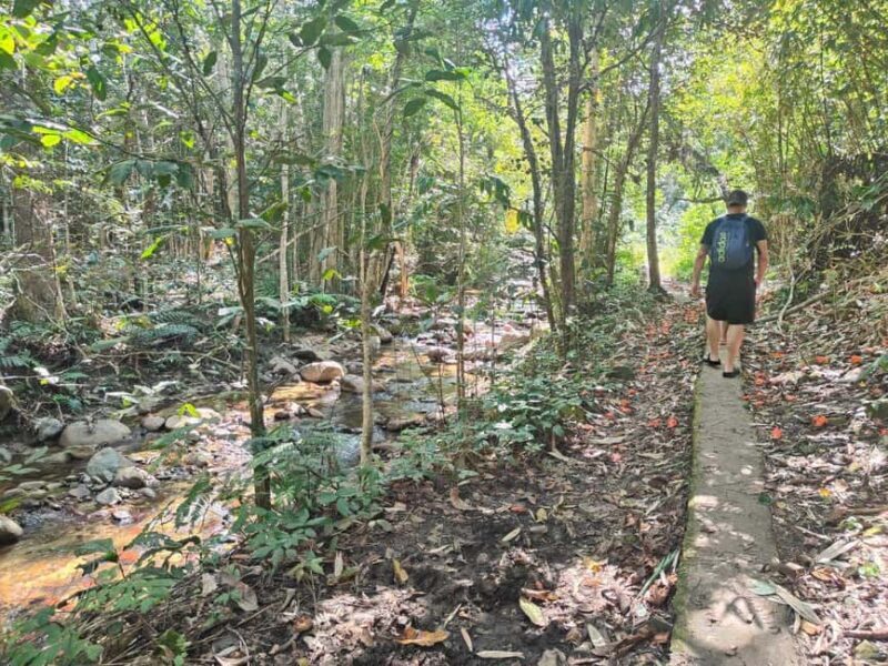 Largest zipline/Cave & Biausevu waterfall Discovery tour - The Practicalities: What’s Included and What’s Not
