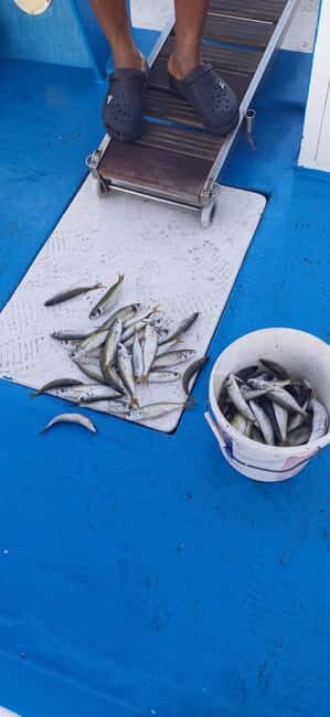 Larnaca: Private Fishing - Traditional Explorer N Vessel - Key Points