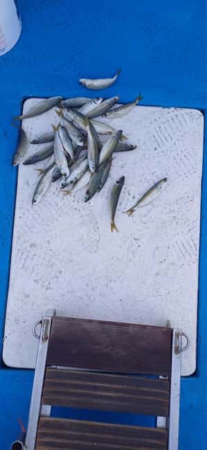 Larnaca: Private Fishing - Traditional Explorer N Vessel - The Experience in Detail