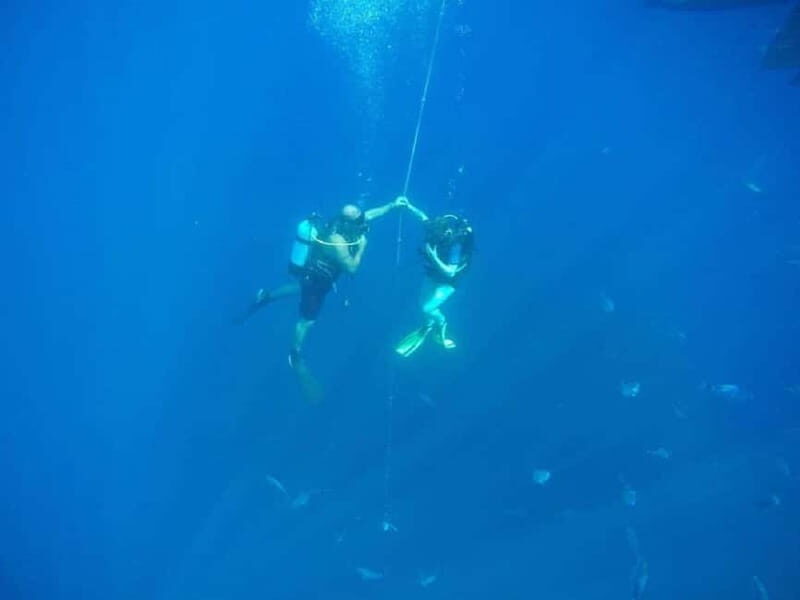 Larnaca: Private Zenobia Beginners Divers - Key Points