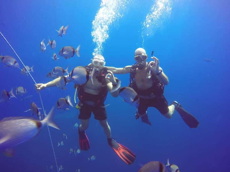 Larnaca: Private Zenobia Beginners Divers - Why Choose Zenobia Divers in Larnaca?