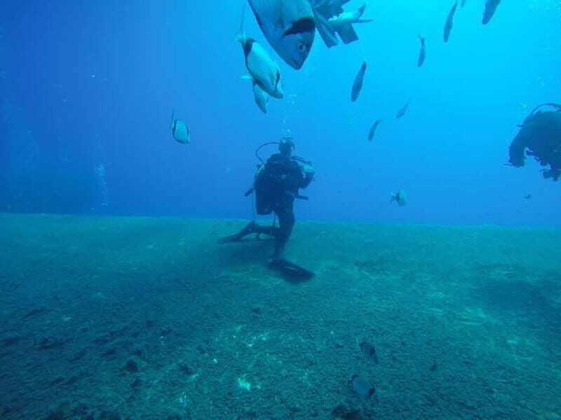 Larnaca: Private Zenobia Beginners Divers - Summary of Key Points