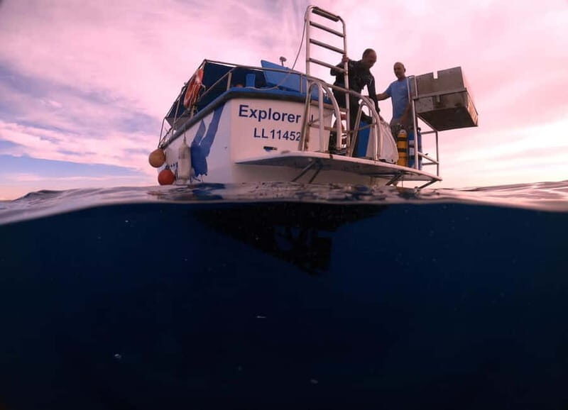 Larnaca: Snorkelling Zenobia Wreck Plus Mini Cruise - Who Is This Tour Best For?