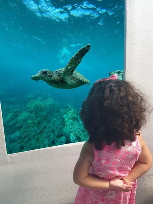 Larnaca: Yellow Submarine Mini Cruise with a Swim Stop - The Return Journey