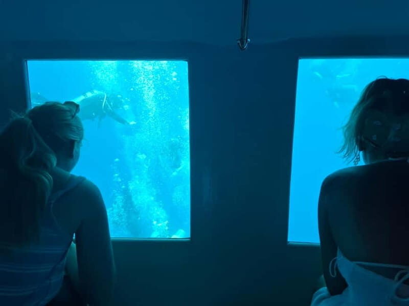 Larnaca: Yellow Submarine Swim Cruise with Unlimited Drinks - Who Will Love This Tour?