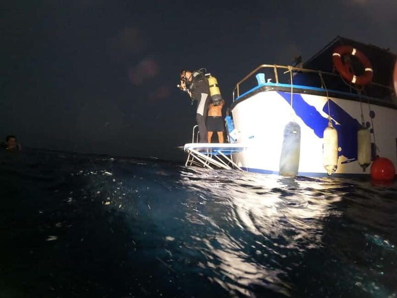 Larnaca: Zenobia Wreck Night Dive Certification With SSI - Larnaca: Zenobia Wreck Night Dive Certification With SSI — A Practical Guide for Adventurous Divers