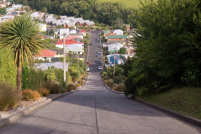 Larnach Castle & Dunedin City Highlights Tour - Exploring Dunedin and Otago Peninsula: A Comprehensive Tour Experience