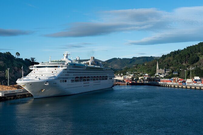 Larnach Castle & Dunedin City Highlights Tour - Who Should Consider This Tour?