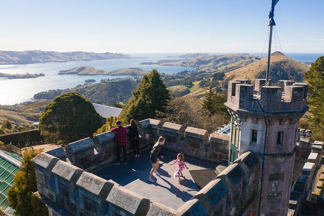 Larnach Castle & Otago Wildlife Cruise from Dunedin - Explore Dunedin and the Otago Peninsula in Style and Comfort