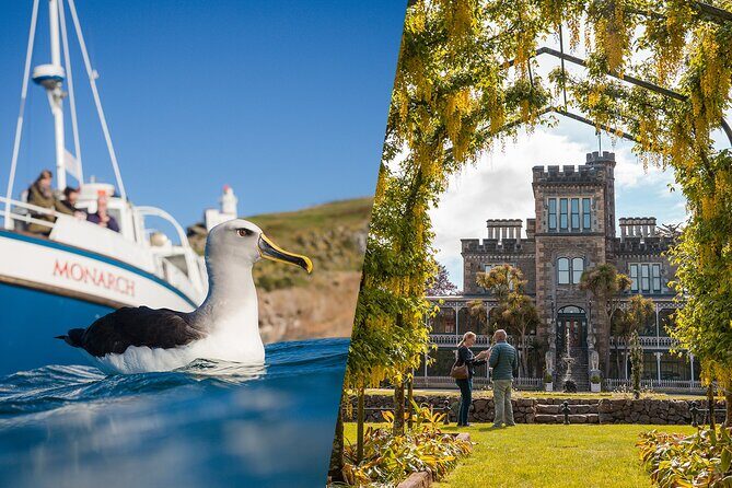 Larnach Castle & Otago Wildlife Cruise from Dunedin - Key Points