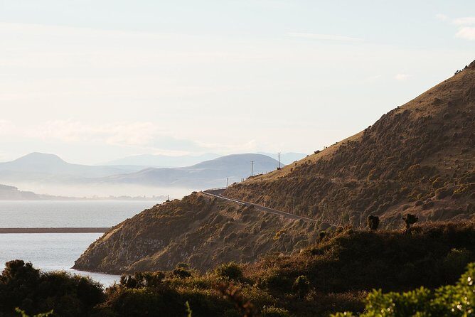 Larnach Castle & Otago Wildlife Cruise from Dunedin - Possible Considerations
