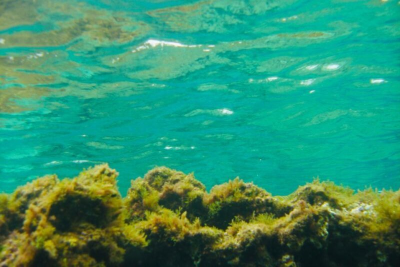 Las Canteras Scuba Diving - Exploring the Dive Experience in Gran Canaria