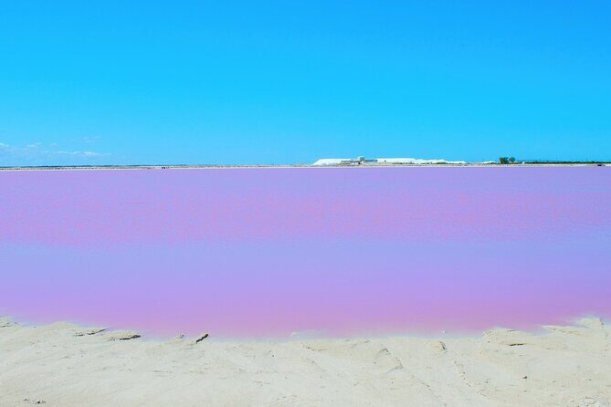 Las Coloradas Amazing Pink Lake & Rio Lagartos from Tulum - In-Depth Review of the Tour Experience