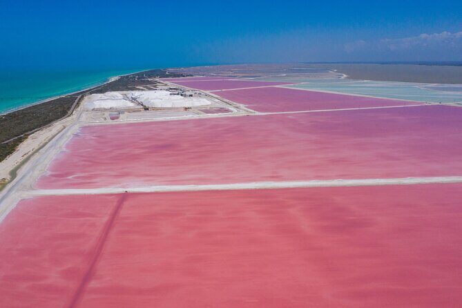 Las Coloradas Amazing Pink Lake & Rio Lagartos from Tulum - Rio Lagartos: Wildlife and Mangroves