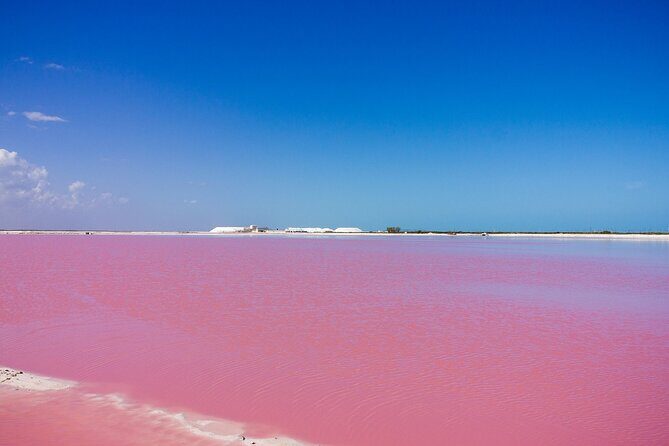 Las Coloradas Amazing Pink Lake & Rio Lagartos from Tulum - Additional Activities and Amenities