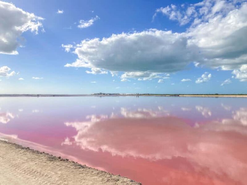 Las Coloradas and Ría Lagartos - Practical Details: What You Need to Know