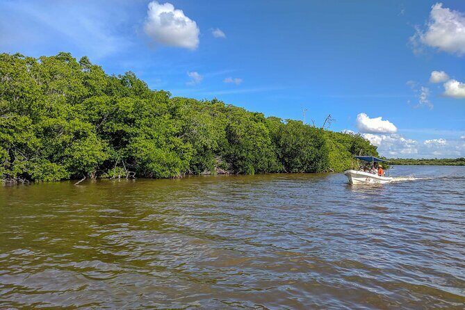 Las Coloradas and Rio Lagartos Pink Lagoon and Wildlife Adventure - Final Thoughts: Is It Worth It?