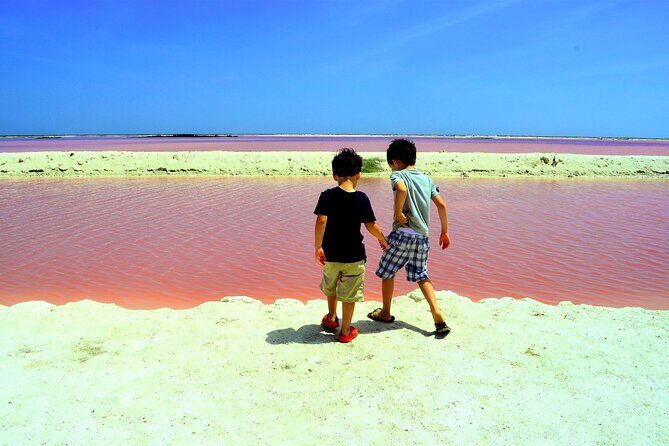 Las Coloradas and Rio Lagartos Tour with All Inclusive - Key Points