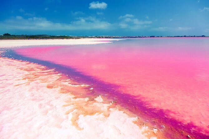 Las Coloradas and Rio Lagartos Tour with All Inclusive - Final Thoughts: Is It Worth It?