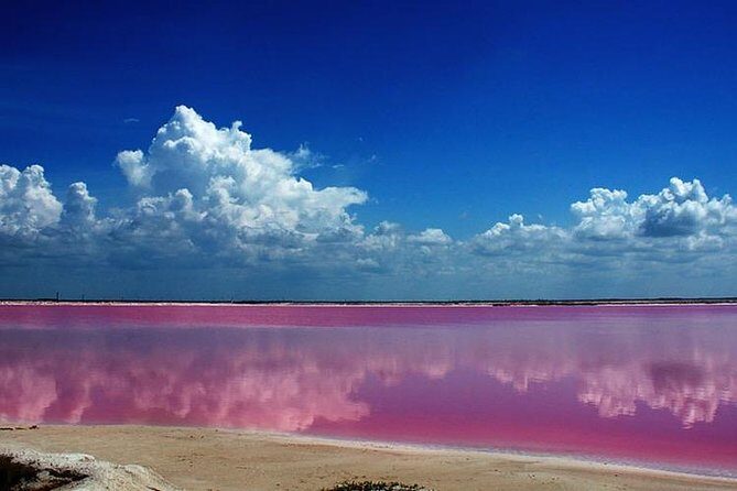 Las Coloradas and Rio Lizards private tour from Valladolid - Final Thoughts: Is It Worth It?