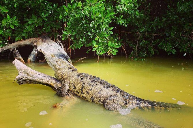 Las Coloradas and Rio Lizards private tour from Valladolid - Frequently Asked Questions