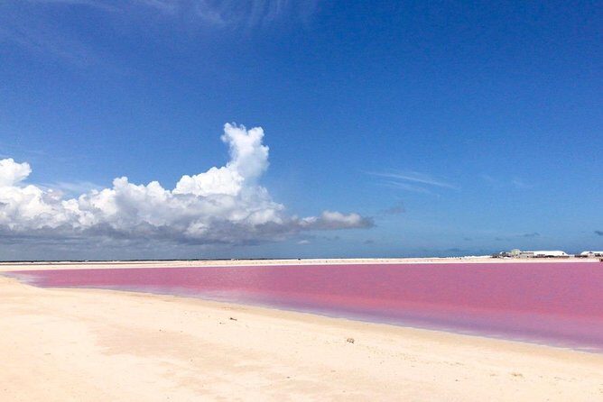 Las Coloradas Exploring Tour - Who Would Enjoy This Tour?