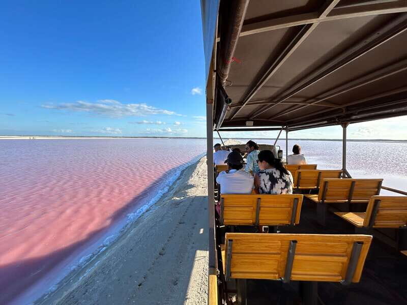 Las Coloradas: Pink Lakes Safari Tour - A Detailed Look at the Las Coloradas Pink Lakes Safari Tour