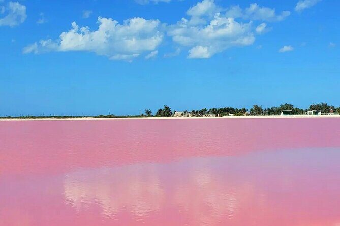 Las Coloradas & Río Lagartos with boat & Lunch from Mérida - Río Lagartos Boat Tour: Wildlife in Action