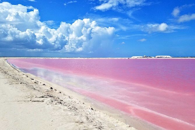 Las Coloradas Tour from Cancun and Playa del Carmen - FAQ