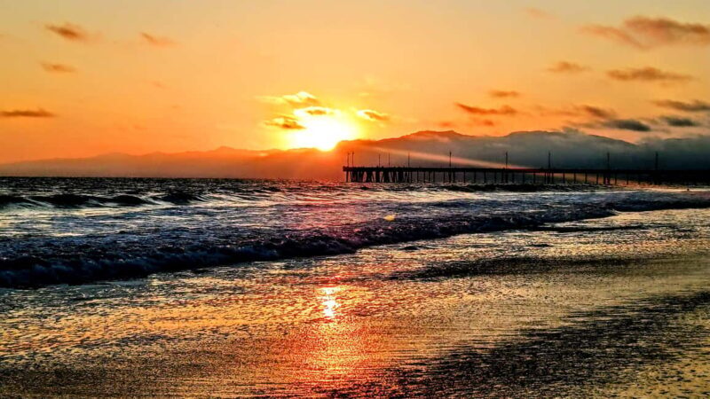 LA's Most Romantic Luxury Wine & Dine Boat Cruise & Sealions - The Sum Up