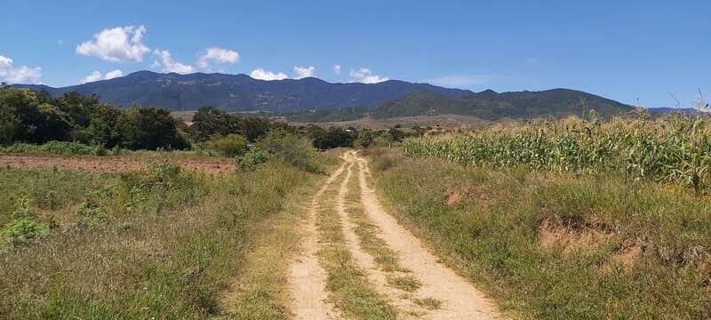 Las Nieves Monte Albán, Arrazola, Cuilapam 6h Bike Tour - FAQs