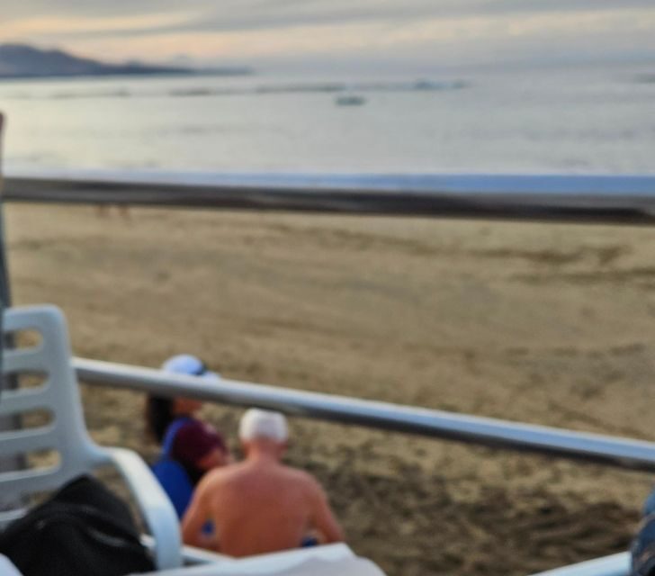 Las Palmas: 100% Local Tapas & Beach views - An Authentic Taste of Las Palmas: A Deep Dive