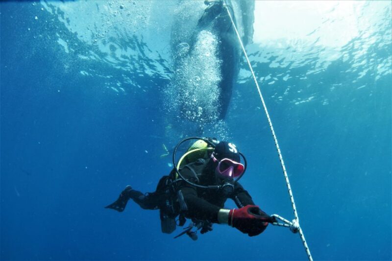 Las Palmas: 2-Day Padi Scuba Diving Course - An Introduction to the Las Palmas PADI Course