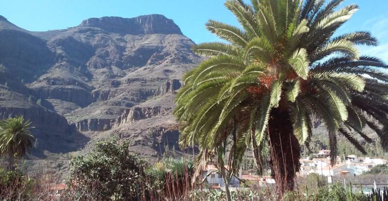 Las Palmas: 8-Hour Gran Canaria Island Highlights Tour - Exploring Gran Canaria in Depth