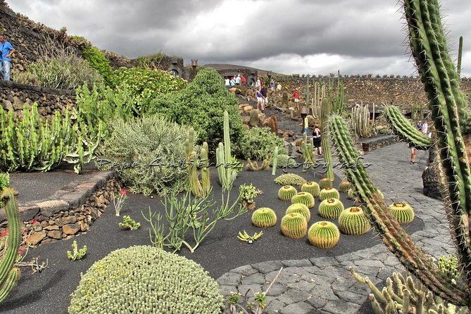 Las Palmas, Botanical Garden & Bandama Crater tour - Gran Canaria - FAQ