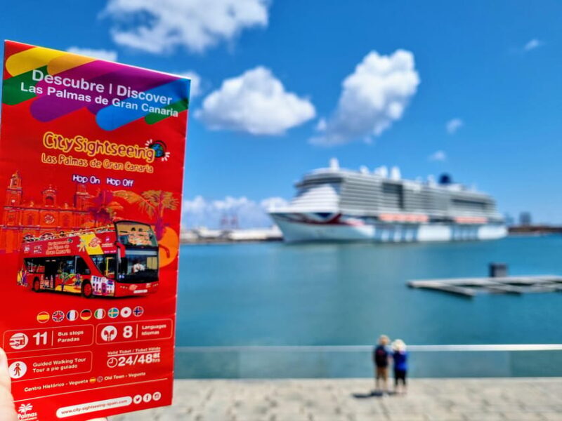 Las Palmas: City Sightseeing Hop-On Hop-Off Bus Tour - Final Thoughts