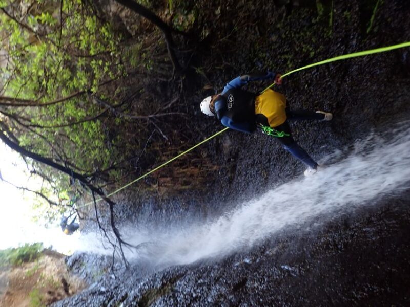 Las Palmas, Gran Canaria: Canyoning Adventure - Who Should Consider This Tour?