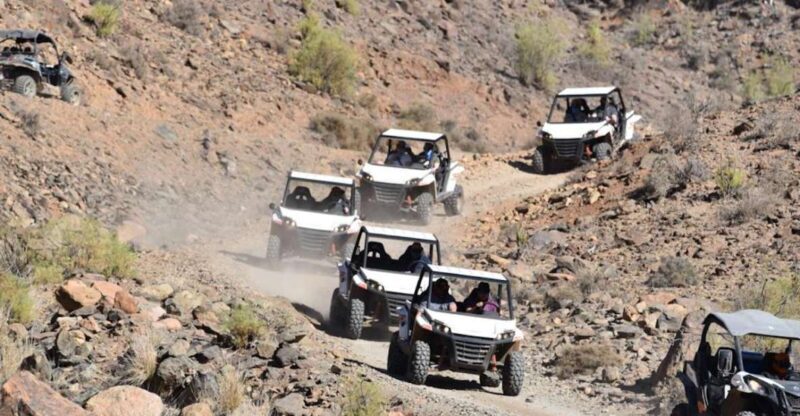 Las Palmas: Gran Canaria Guided Buggy Tour - Summary and Who Will Love This Tour